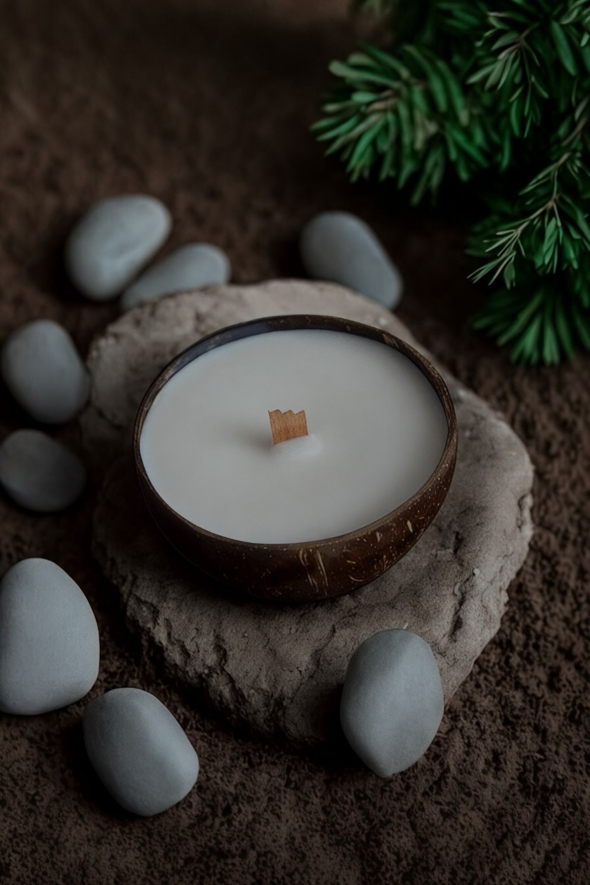 Coconut Cove Dekoratif Mum Hindistan Ceviz Kokulu Vegan Soya Wax Uzun Yanış Süresi